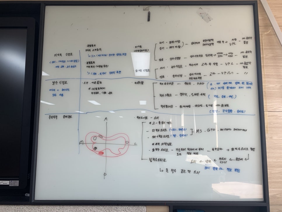 포인티PT 이주현 트레이너 병원 케이스 분석 기록 이미지